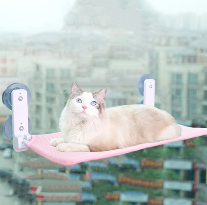 Cat Hanging Bed