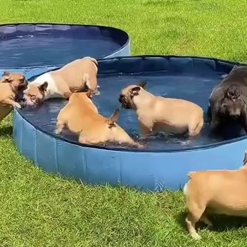 Portable Pet Splash Pool